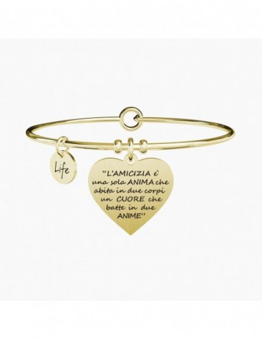 L'AMICIZIA é UNA SOLA ANIMA É ARISTOTELE - Bangle Kidult.
