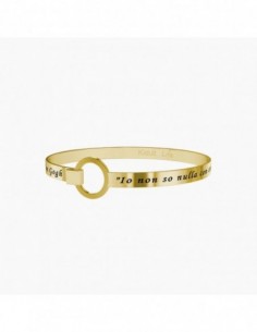 IO NON SO NULLA É V. V. GOGH - Bangle Kidult.
